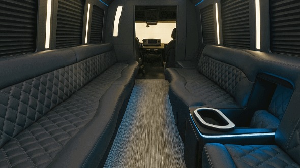 goodyear 20 passenger party bus