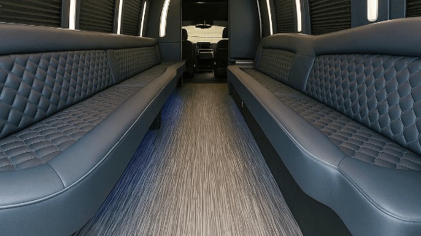 phoenix 20 passenger party bus interior