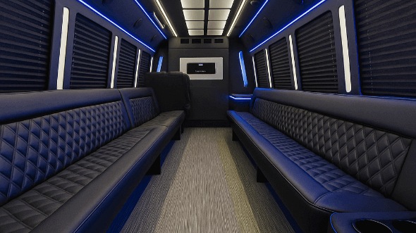 phoenix 20 passenger party bus rental