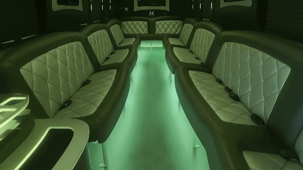 phoenix 30 passenger party bus rental